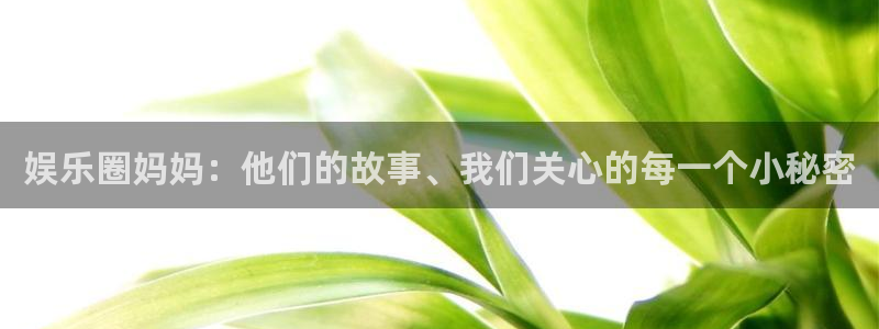安信12登录入口官网：娱乐圈妈妈：他们的故事、我们关心的每一个小秘密